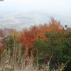 img_4758
