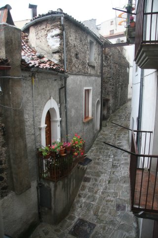 img_0223