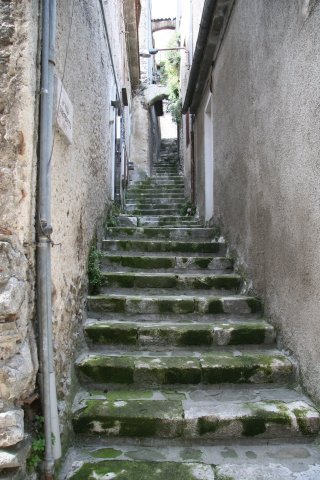 img_9974