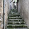 img_9974