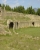 anfiteatro-grumentum